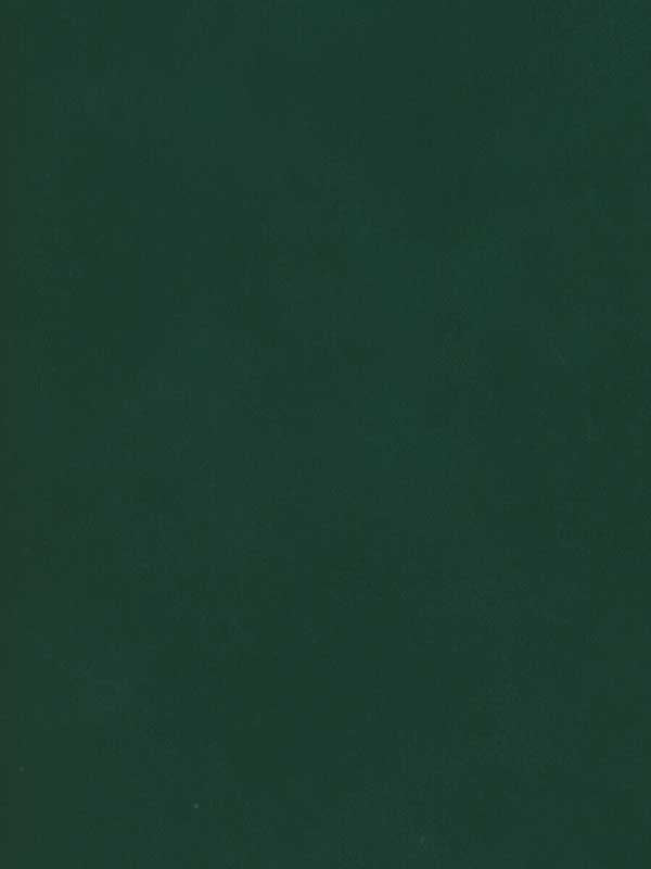 Japan wallpaper in baize color - pattern number AMW10059.53.0 - by Andrew Martin in the Japan collection