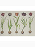 Tulips fabric in purple green white color - pattern number AMW10067.310.0 - by Andrew Martin in the Scholar collection