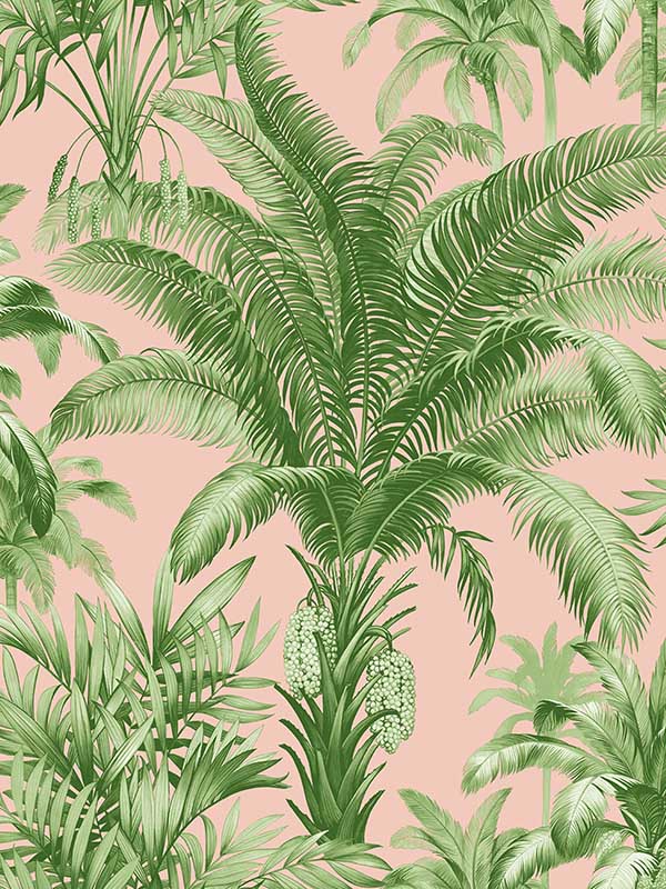 Palm Grove Peel and Stick wallpaper in blush summer fern color - pattern number RM22301 - by Casa Mia in the Peel and Stick Wallpaper by Casa Mia collection