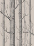 Woods fabric in linen charcoal color - pattern number 112/3009.CS.0 - by Cole and Son in the Icons collection