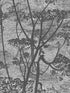 Cow Parsley wallpaper in charcoal color - pattern number 112/8026.CS.0 - by Cole and Son in the Icons collection