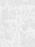 Cow Parsley wallpaper in white color - pattern number 112/8027.CS.0 - by Cole and Son in the Icons collection