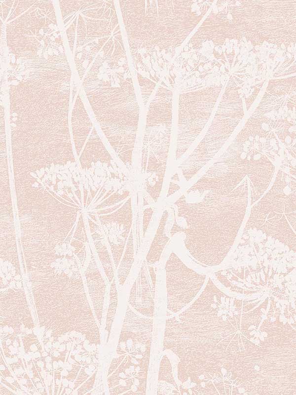 Cow Parsley wallpaper in plaster pink color - pattern number 112/8028.CS.0 - by Cole and Son in the Icons collection