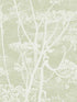 Cow Parsley wallpaper in olive color - pattern number 112/8029.CS.0 - by Cole and Son in the Icons collection