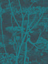 Cow Parsley wallpaper in teal color - pattern number 112/8030.CS.0 - by Cole and Son in the Icons collection