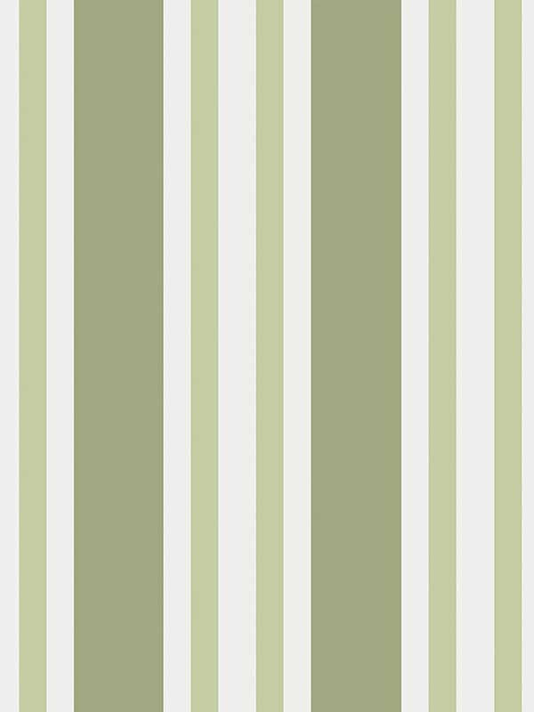 Polo Stripe fabric in leaf green color - pattern number 110/1003.CS.0 - by Cole and Son in the Marquee Stripes collection