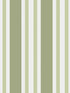 Polo Stripe fabric in leaf green color - pattern number 110/1003.CS.0 - by Cole and Son in the Marquee Stripes collection