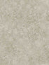 Patina Haze fabric in warm gilver color - pattern number 113/9026.CS.0 - by Cole and Son in the Martyn Lawrence Bullard collection