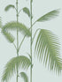 Palm Leaves fabric in pale blue color - pattern number 66/2010.CS.0 - by Cole and Son in the New Contemporary collection