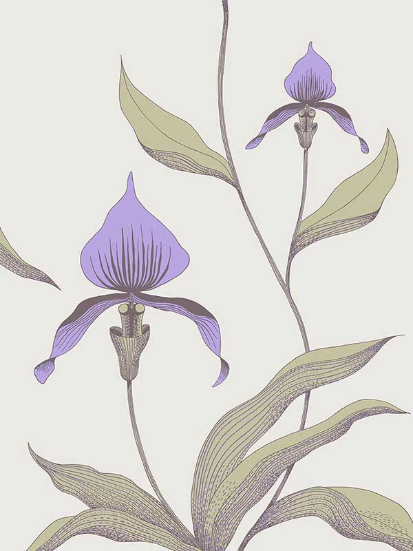 Orchid fabric in white purple color - pattern number 66/4024.CS.0 - by Cole and Son in the New Contemporary collection