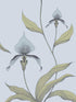 Orchid fabric in blue green color - pattern number 66/4026.CS.0 - by Cole and Son in the New Contemporary collection