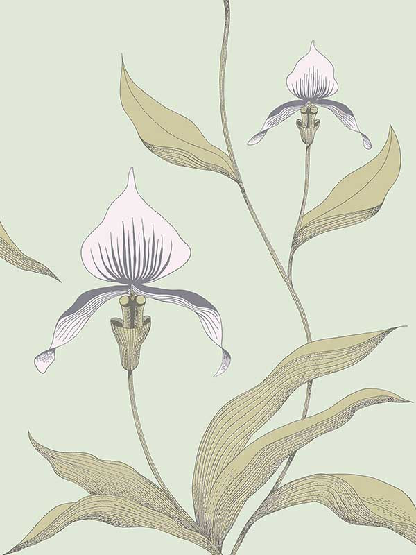 Orchid fabric in pale green color - pattern number 66/4028.CS.0 - by Cole and Son in the New Contemporary collection