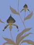 Orchid fabric in blue black color - pattern number 66/4030.CS.0 - by Cole and Son in the New Contemporary collection