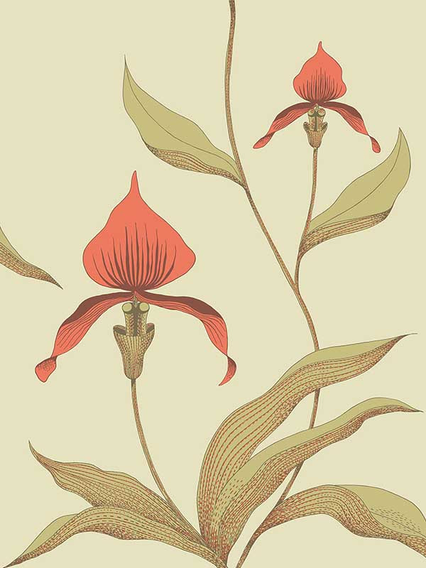 Orchid fabric in lime orange color - pattern number 66/4033.CS.0 - by Cole and Son in the New Contemporary collection