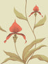Orchid fabric in lime orange color - pattern number 66/4033.CS.0 - by Cole and Son in the New Contemporary collection