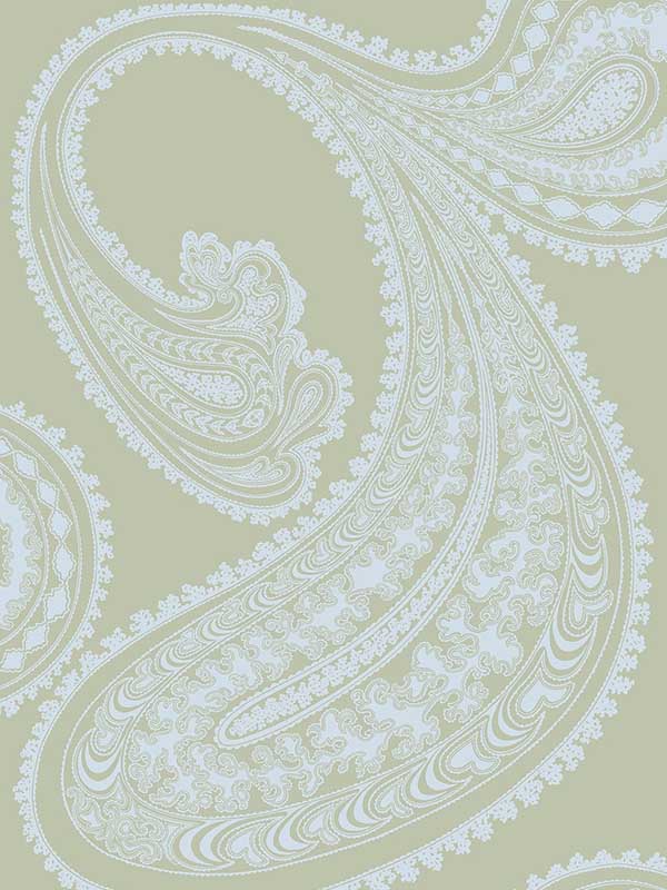 Rajapur fabric in pale blue green color - pattern number 66/5034.CS.0 - by Cole and Son in the New Contemporary collection