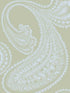 Rajapur fabric in pale blue green color - pattern number 66/5034.CS.0 - by Cole and Son in the New Contemporary collection