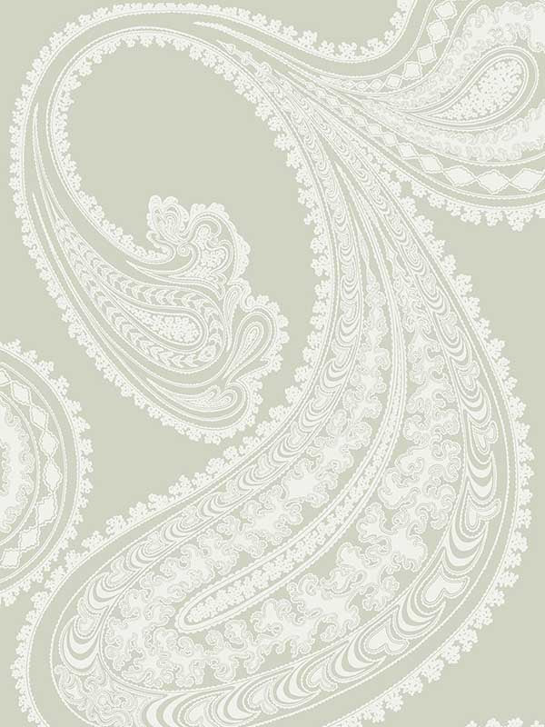 Rajapur fabric in white gey color - pattern number 66/5036.CS.0 - by Cole and Son in the New Contemporary collection