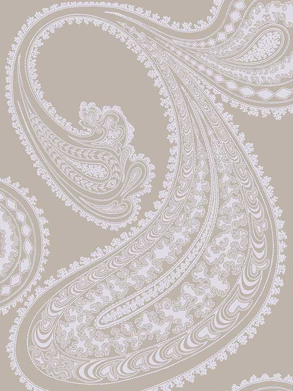 Rajapur fabric in pale blue taupe color - pattern number 66/5039.CS.0 - by Cole and Son in the New Contemporary collection