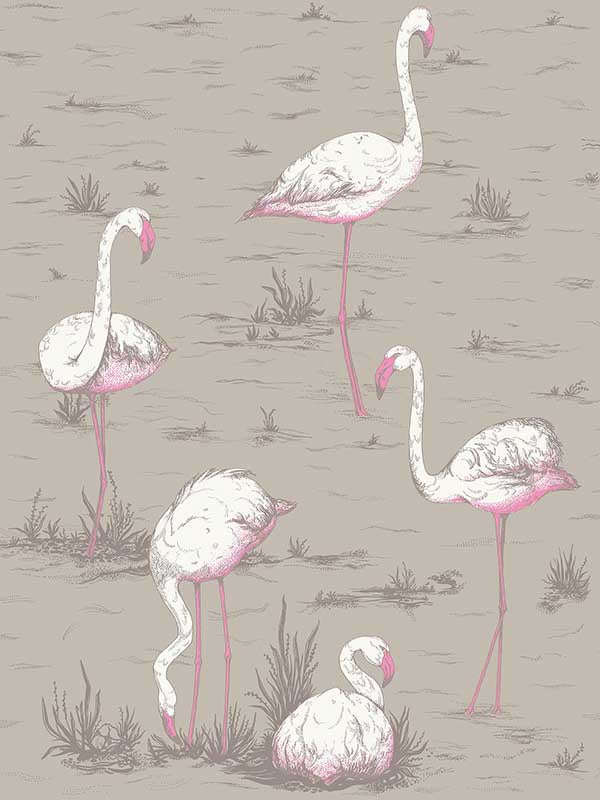 Flamingos wallpaper in grey color - pattern number 66/6042.CS.0 - by Cole and Son in the New Contemporary collection