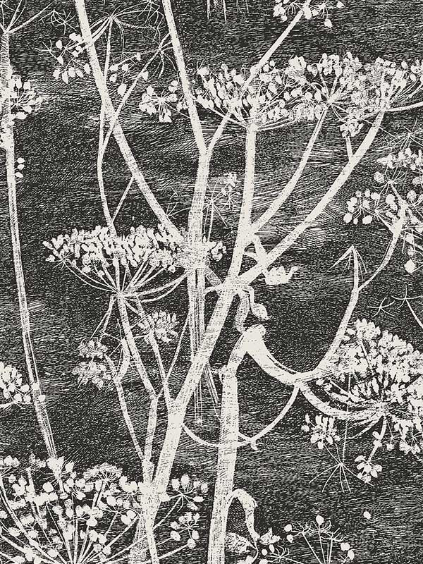Cow Parsley wallpaper in white black color - pattern number 66/7046.CS.0 - by Cole and Son in the New Contemporary collection