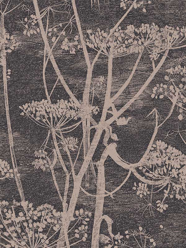 Cow Parsley wallpaper in taupe black color - pattern number 66/7048.CS.0 - by Cole and Son in the New Contemporary collection