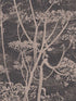 Cow Parsley wallpaper in taupe black color - pattern number 66/7048.CS.0 - by Cole and Son in the New Contemporary collection