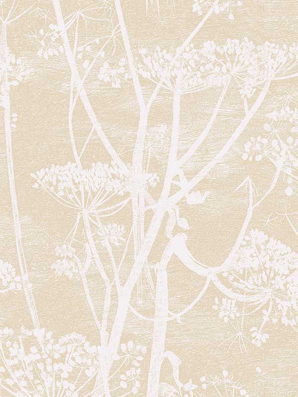 Cow Parsley wallpaper in white beige color - pattern number 66/7049.CS.0 - by Cole and Son in the New Contemporary collection
