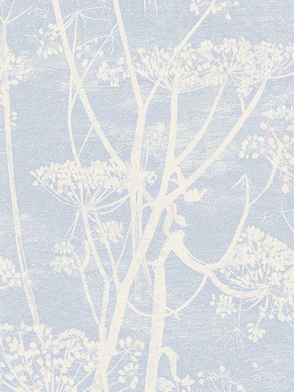 Cow Parsley wallpaper in white blue color - pattern number 66/7050.CS.0 - by Cole and Son in the New Contemporary collection