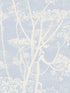 Cow Parsley wallpaper in white blue color - pattern number 66/7050.CS.0 - by Cole and Son in the New Contemporary collection