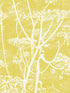 Cow Parsley wallpaper in white yellow color - pattern number 66/7051.CS.0 - by Cole and Son in the New Contemporary collection