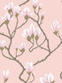 Magnolia wallpaper in pink color - pattern number 72/3009.CS.0 - by Cole and Son in the New Contemporary collection