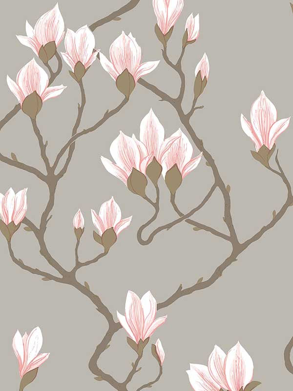 Magnolia wallpaper in grey lustre color - pattern number 72/3010.CS.0 - by Cole and Son in the New Contemporary collection