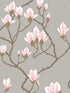 Magnolia wallpaper in grey lustre color - pattern number 72/3010.CS.0 - by Cole and Son in the New Contemporary collection