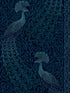 Pavo Parade wallpaper in metallic petrol ink color - pattern number 116/8028.CS.0 - by Cole and Son in the Pearwood collection