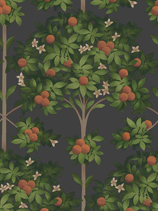 Orange Blossom fabric in orange and spring green black color - pattern number 117/1003.CS.0 - by Cole and Son in the Seville collection