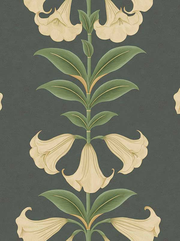 Angels Trumpet fabric in cream olive green charcoal color - pattern number 117/3006.CS.0 - by Cole and Son in the Seville collection