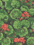 Geranium wallpaper in rouge and leaf greens on black color - pattern number 117/11033.CS.0 - by Cole and Son in the Seville collection