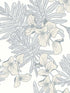 Hummingbird wallpaper in mist color - pattern number 180411705 - by Maxwell in the Aurora collection