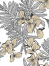 Hummingbird fabric in jet color - pattern number 180411706 - by Maxwell in the Aurora collection