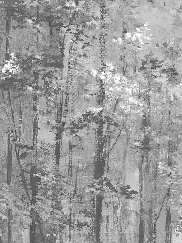 Glade wallpaper in jet color - pattern number 180411805 - by Maxwell in the Aurora collection