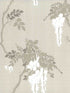Leonora wallpaper in 01 color - pattern number 170310901 - by Maxwell in the Camellia collection