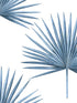 Pacific Palm Peel and Stick wallpaper in coastal blue color - pattern number HG10402 - by NextWall in the Peel and Stick Wallpaper by Harry and Grace 2 collection