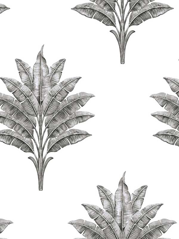 Sea Breeze Palm Peel and Stick wallpaper in charcoal color - pattern number HG10600 - by NextWall in the Peel and Stick Wallpaper by Harry and Grace 2 collection