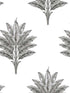 Sea Breeze Palm Peel and Stick wallpaper in charcoal color - pattern number HG10600 - by NextWall in the Peel and Stick Wallpaper by Harry and Grace 2 collection