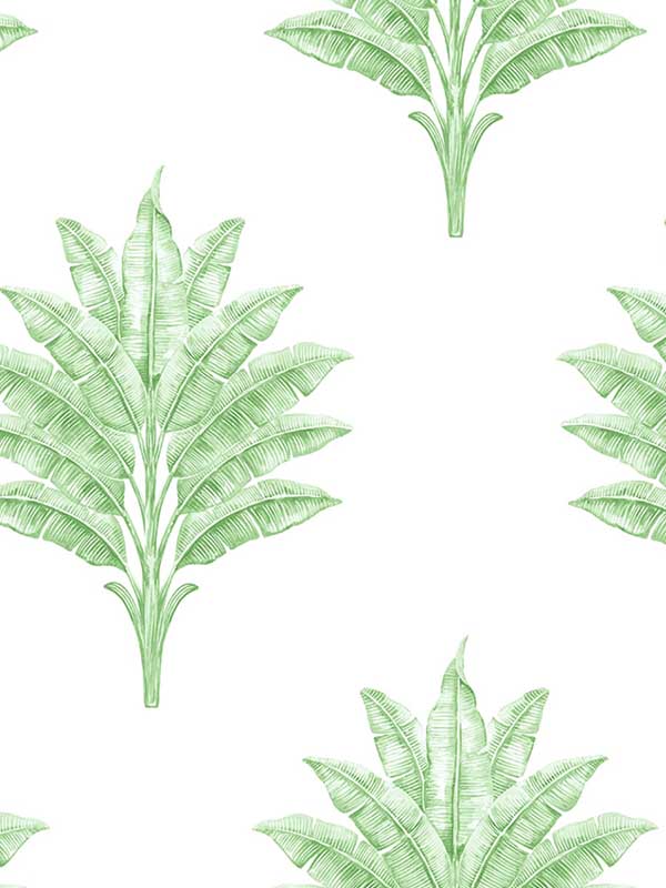 Sea Breeze Palm Peel and Stick wallpaper in greenery color - pattern number HG10604 - by NextWall in the Peel and Stick Wallpaper by Harry and Grace 2 collection