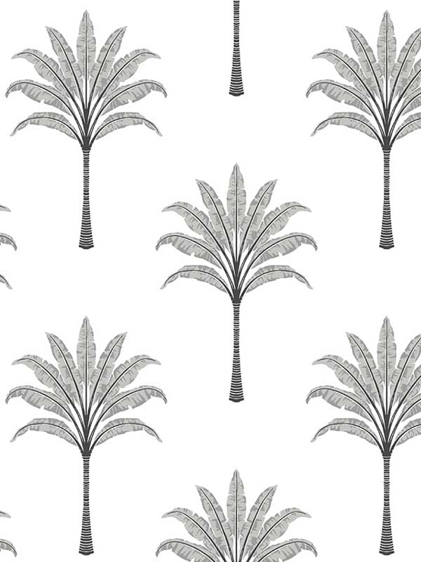 Montgomery Palm Peel and Stick wallpaper in harbor grey color - pattern number HG10708 - by NextWall in the Peel and Stick Wallpaper by Harry and Grace 2 collection