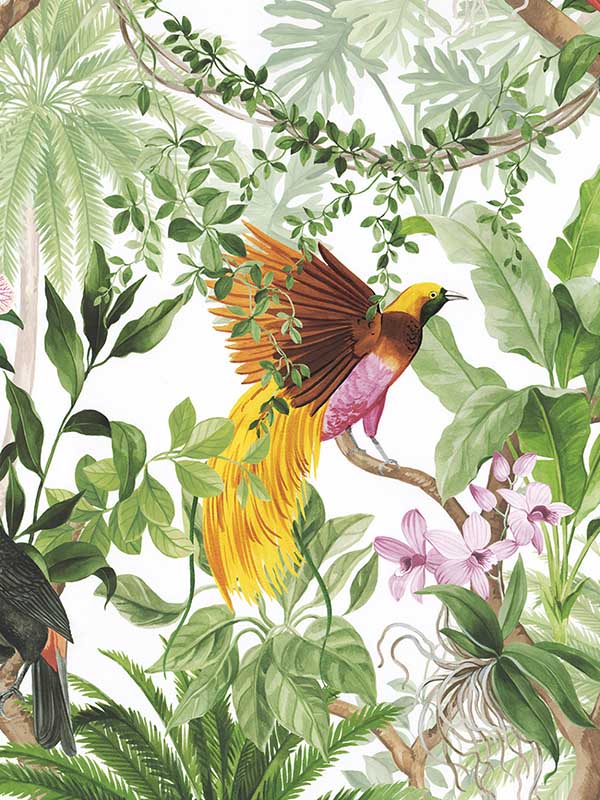 Tropical Bird Peel and Stick wallpaper in white color - pattern number HG10900 - by NextWall in the Peel and Stick Wallpaper by Harry and Grace 2 collection