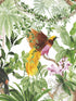 Tropical Bird Peel and Stick wallpaper in white color - pattern number HG10900 - by NextWall in the Peel and Stick Wallpaper by Harry and Grace 2 collection