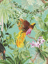 Tropical Bird Peel and Stick wallpaper in aqua color - pattern number HG10902 - by NextWall in the Peel and Stick Wallpaper by Harry and Grace 2 collection